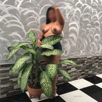 Sofía
