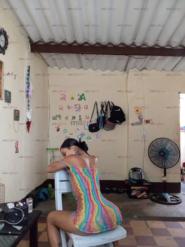 Foto 4 de Nikol