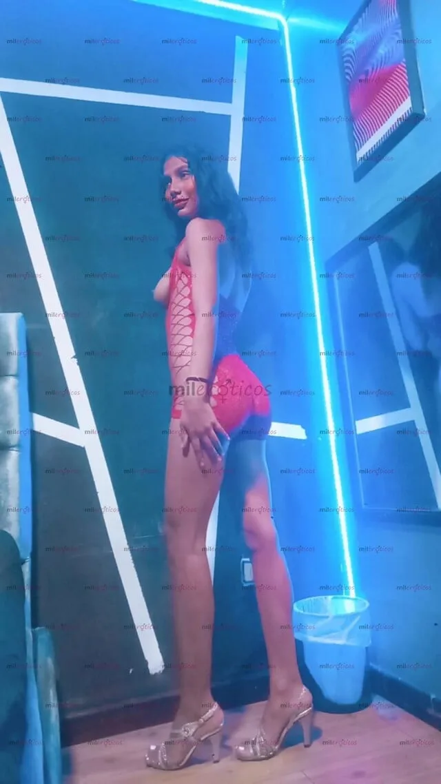 Foto número 7: Esta imagén muestra el cuerpo de una prepago en Bogotá