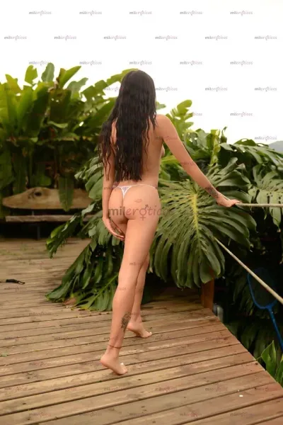 Foto número 10: Esta imagén muestra el cuerpo de una prepago en Medellín