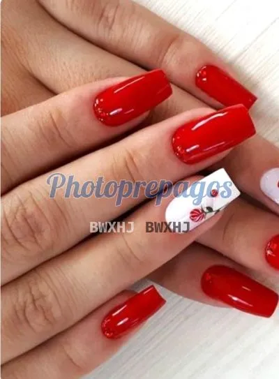 Foto número 3: Esta imagén muestra el cuerpo de una prepago en Bogotá