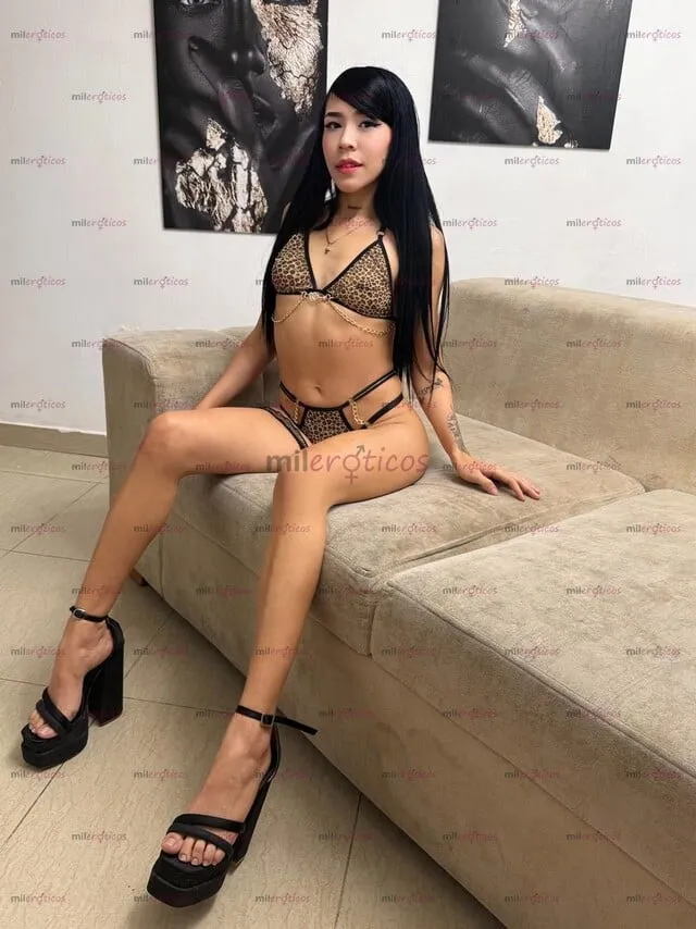 Foto de Nicol