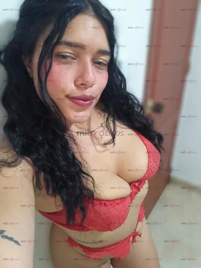 Pollita